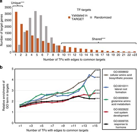 Nitrogen N Early Response Transcription Factors Tfs Coordinate A