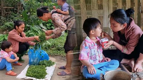 Single Mother Harvesting Green Vegetables To Sell And Get Money To Buy