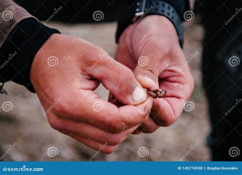 Fisherman Puts A Worm On The Hook Stock Photo Image Of Sharp