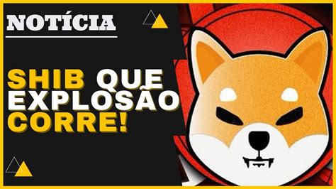 Shiba Inu Que Explos O Not Cia Nova E Atualizada Criptomoeda Vai