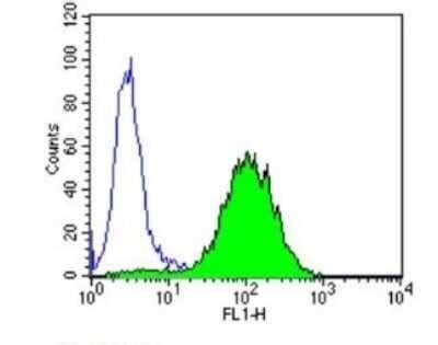 Ppar Alpha Nr C Antibody B Ppar Bsa Free Nb Novus