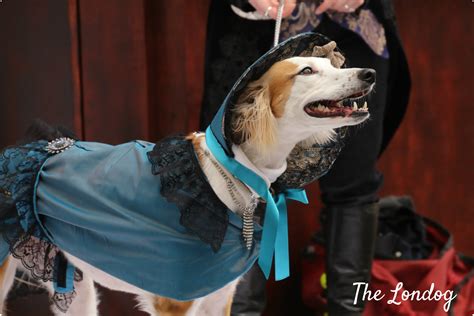 Sci-Fido: the 2017 Dog Cosplay | The Londog