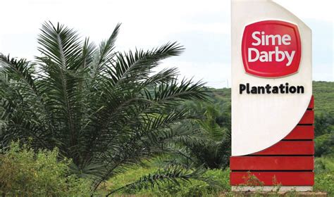 sime darby plantation bloomberg - Natalie Anderson