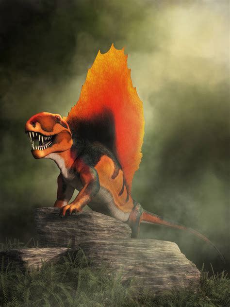 Dimetrodon By Deskridge On Deviantart