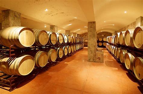 Algarve Wine Tour | Wine Tourism in Portugal