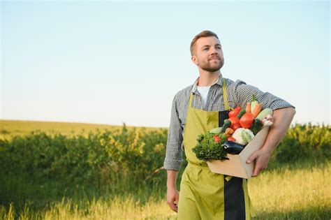 Premium Photo Male Farmer Holding Box With Vegetables In Field