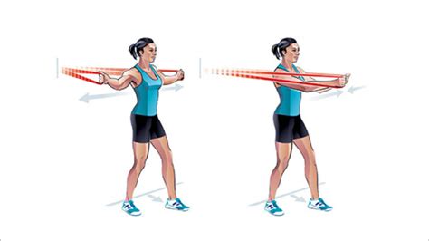 Woman Doing Resistance Band Chest Press Exercise Vector Image Atelier