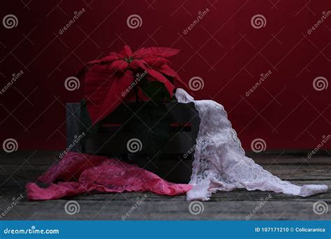 White Lace Panties Stock Photo Image Of Slips Bikini