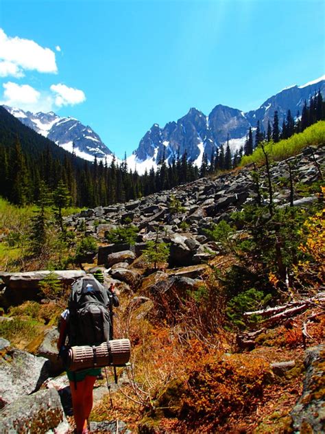 Wilderness Survival: Building Skills for Nature’s Challenges