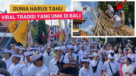 Tradisi Di Bali Saat Hari Raya Kuningan Tradisi Mekotek Di Bali Saat