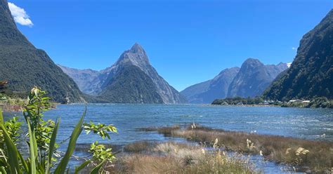 Milford Sound Tipps F R Einen Unvergesslichen Besuch