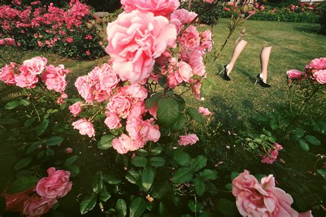 Guy Bourdin Follow Me Photo Article