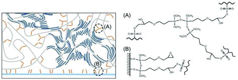 Schematic Illustration Of The System Of Gops Crosslinked Pedotpss