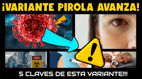 ALERTA CIENTÍFICOS REVELAN 5 CARACTERÍSTICAS DE LA VARIANTE PIROLA