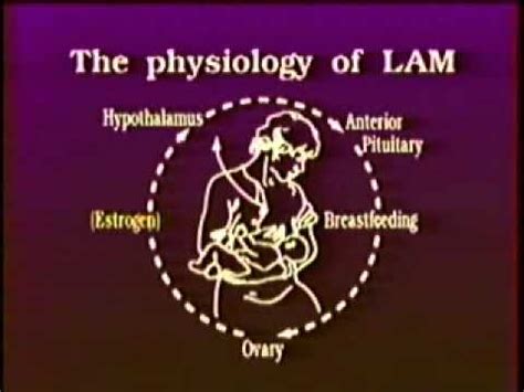 Lactational Amenorrhea Method