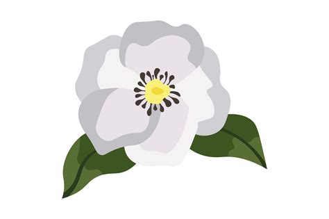 Georgia State Flower