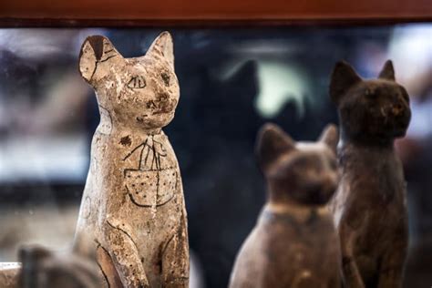 Scientists Reveal Inside Story of Ancient Egyptian Animal Mummies | HISTORY