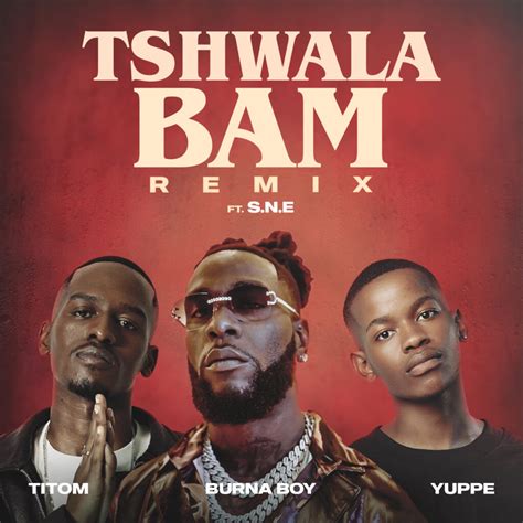 Burna Boy Joins Forces For Electrifying Tshwala Bam” Remix Video