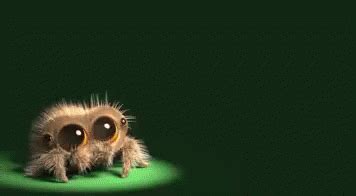 Lucas The Spider Encore GIF - LucasTheSpider Encore SmallSpider ...