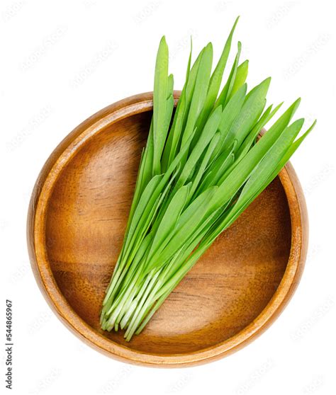 Hulless Barley Microgreens In A Wooden Bowl Fresh Seedlings And Green