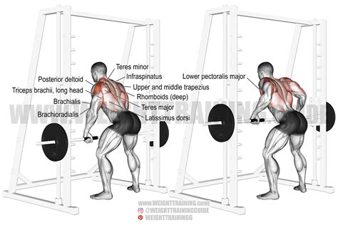 Smith machine Yates row exercise guide and video | Weight Training Guide