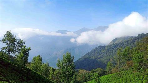 Top Station Munnar • Entry Fee, Timing, Things To Do