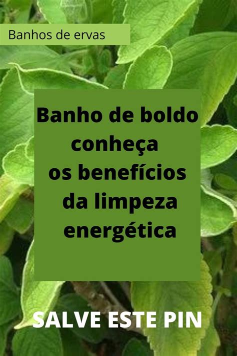 Banho de boldo conheça os benefícios da limpeza energética Feng Shui