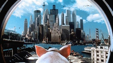 Babe Pig In The City Verns Reviews On The Films Of Cinema