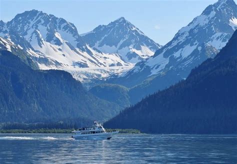 Seward Kenai Fjords 4 Hour Wildlife Cruise | Alaska Shore Excursions