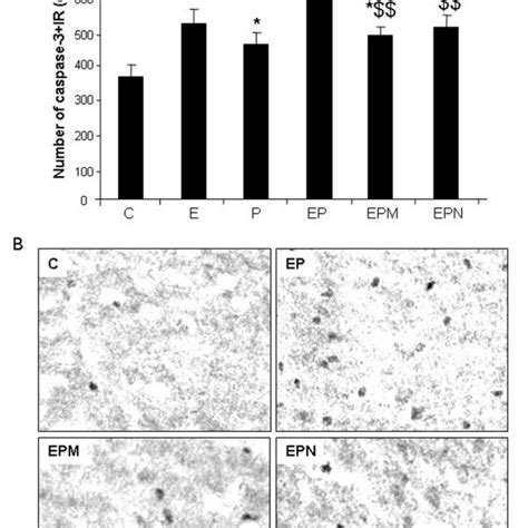 Schematic Summary And Hypothetical Mechanisms Of Neuroinflammation And