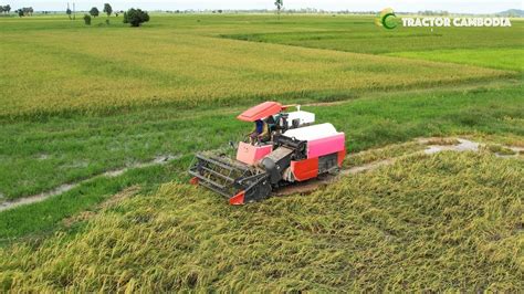 Nice View Rice Cutting Machinery Working Skills Rice Harvesting