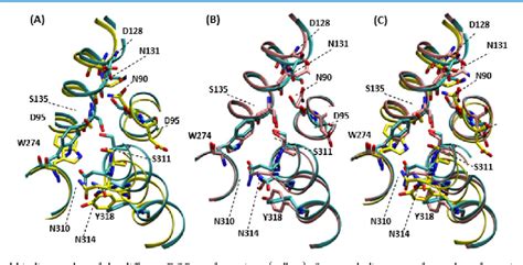 Figure 1 From Probing The Activation Mechanisms Of Agonist DPI 287 To