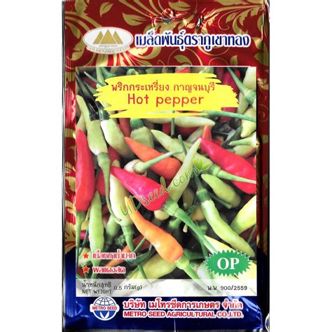 เมลดพรกกะเหรยง กาญจนบร Hot Pepper เมลดพนธ เมลดพนธผก เมลดพนธพช ผกสวนครว