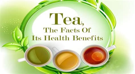 Health Benefits Of Drinking Tea Why Its Good For You [infographic