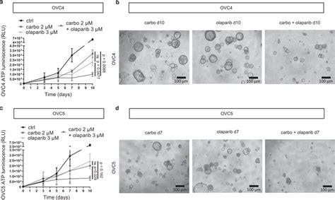 Parpi Re Sensitizes Resistant Pdx Derived Organoids To Download