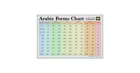 Arabic Forms Chart (Verb Forms I-X) | Zazzle | Verb forms, Verb, Chart