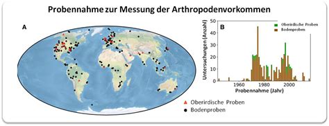 Was da kreucht und fleucht Wie viele Gliederfüßer Arthropoden leben