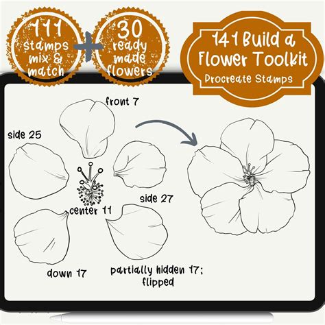 Procreate Stamps Build A Flower Toolkit Procreate Bundle Flower