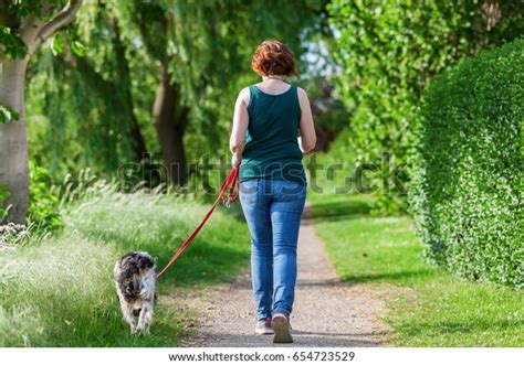 Mature Woman Walking Brittany Dog Leash Stock Photo 654723529