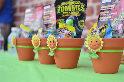 Plants Vs Zombies Birthday Party