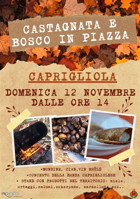 Castagnata E Bosco In Piazza Visitlunigiana