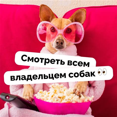 ProMeal - сухой корм для собак мелких пород | ВКонтакте