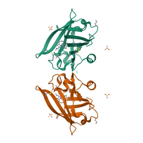 RCSB PDB: Homepage 