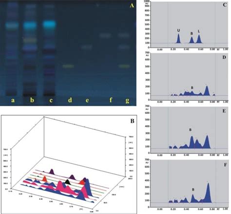 TLC Plate Photo A And Overlay Of The Chromatograms B Showing The