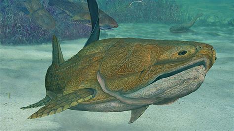 First Face Prehistoric Fish Was A Jawdropper Fox News