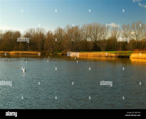 Lake Milton Hi Res Stock Photography And Images Alamy