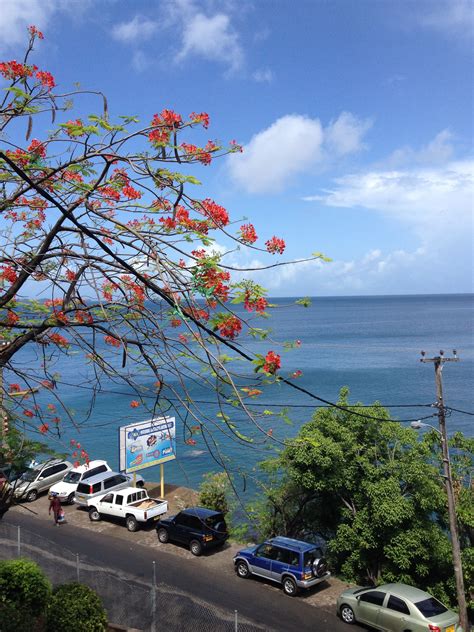 120 Best Grenada , West Indies ideas in 2025 | grenada, caribbean, west