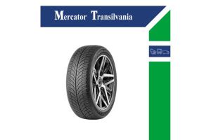 Home Page RO Mercator Transilvania