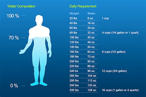 Percentage Of Water In Human Body Chart - img-Aaralyn