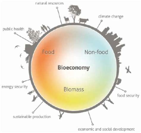 Biobased Economy Optimize Ias